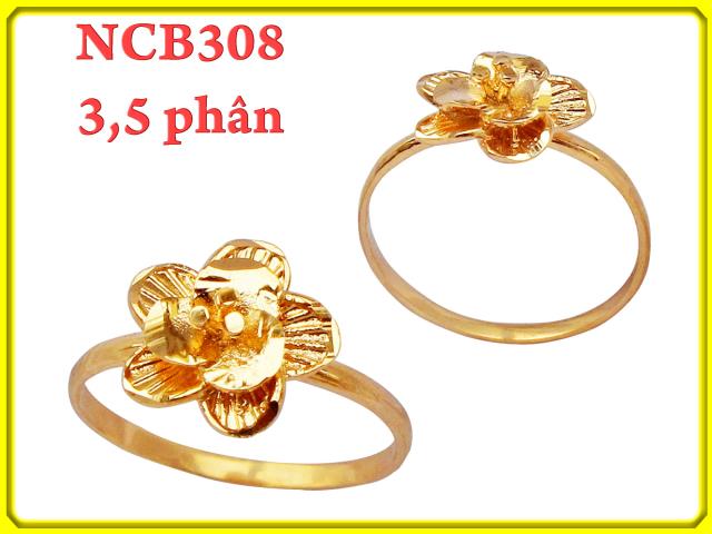 NCB308